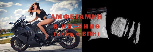 молекула духа Арсеньев