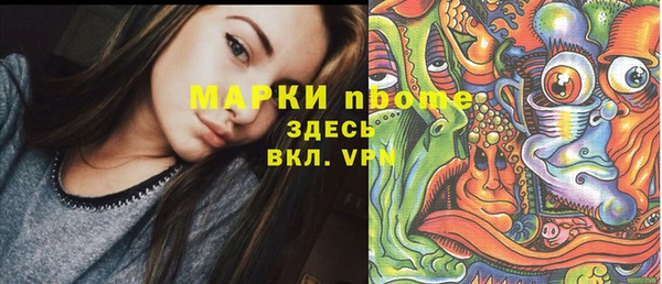 молекула духа Арсеньев