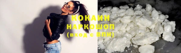 молекула духа Арсеньев