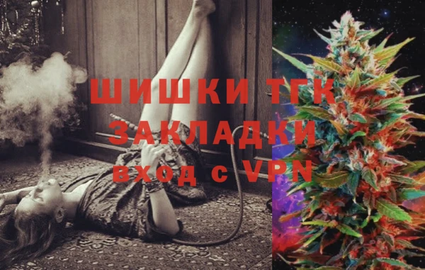 молекула духа Арсеньев