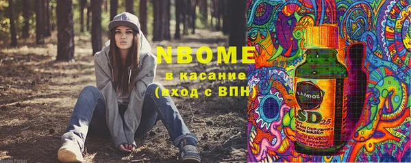 молекула духа Арсеньев